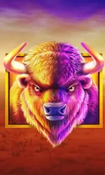 Buffalo King